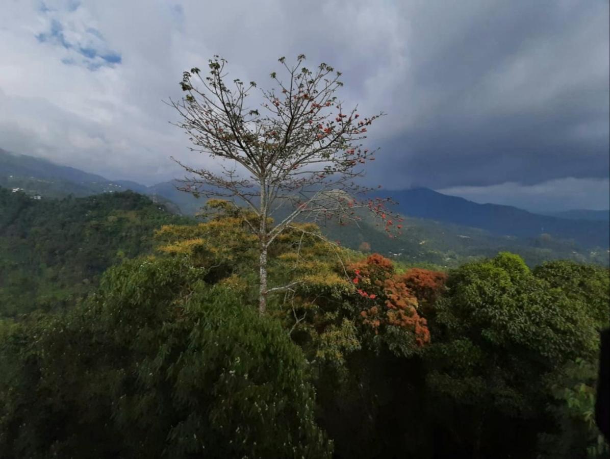 Hotel Palmtree Leaf, Munnar Exterior foto